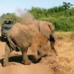 africa holiday 
